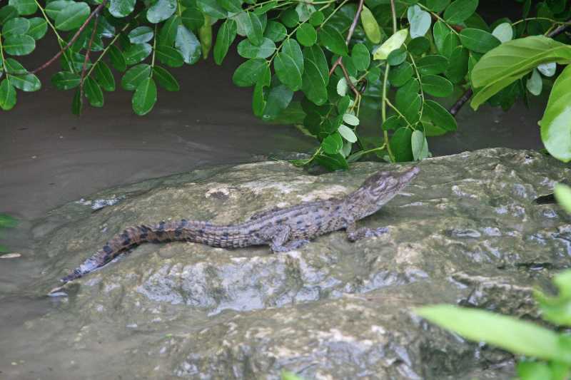 Mexico & Guatemala 2010 - 0347